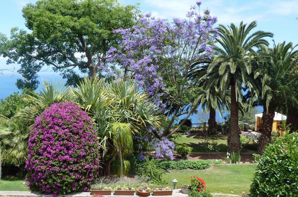 Finca Casa Vieja Hotel Santa Úrsula Buitenkant foto