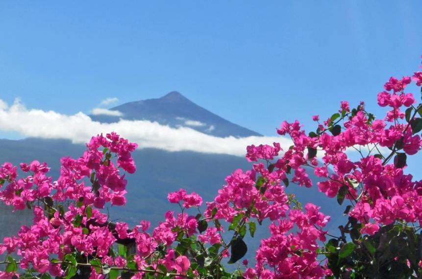Finca Casa Vieja Hotel Santa Úrsula Buitenkant foto